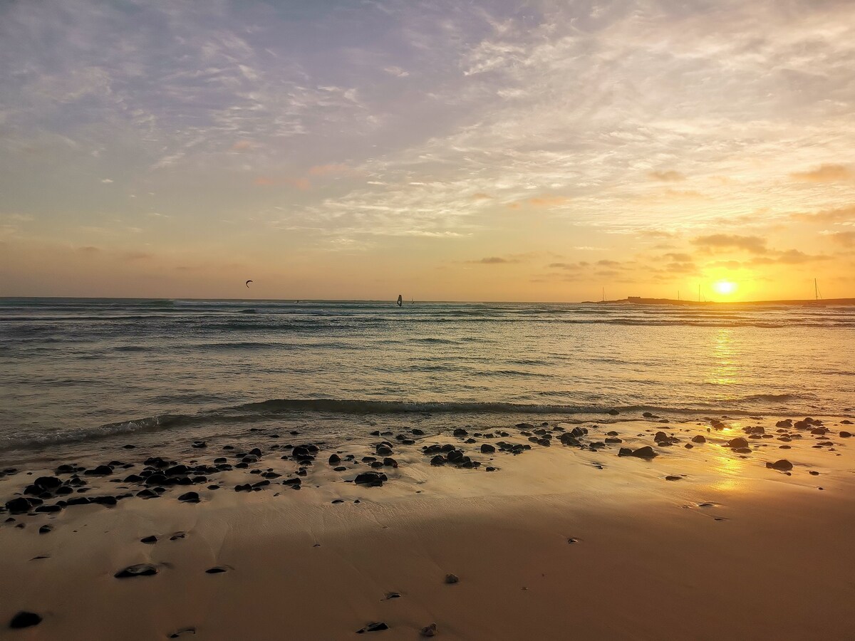 Imagen de perfil del propietario o de la propietaria