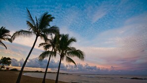 A beach with palm trees and a wooden bench. - Kolohala in Haena is a tranquil place to enjoy your tropical vacation! (Haena)