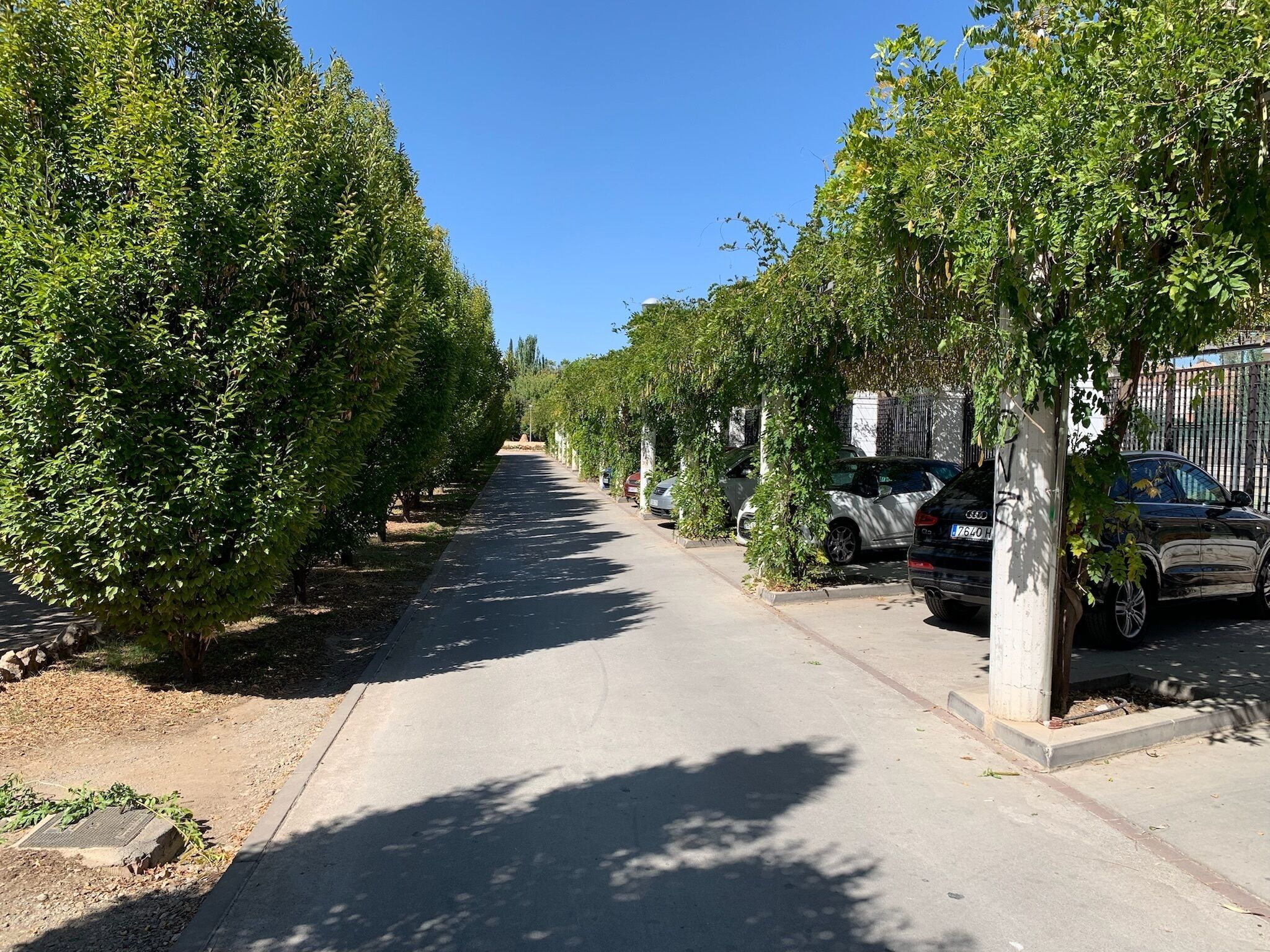 Overnatningsstedets område