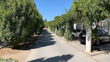 Overnatningsstedets område