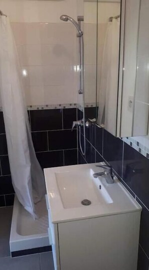 Bathroom features a sink, handheld showerhead, and mirror.
