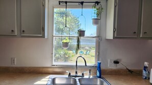 Een keuken met een raam, een gootsteen, kastjes en hangende planten.