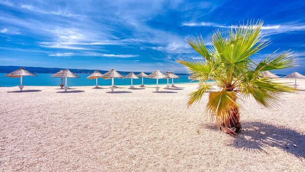 A beach with white sand, palm trees, and thatched umbrellas.