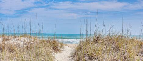 Departamento (2 Bedrooms) | Interior