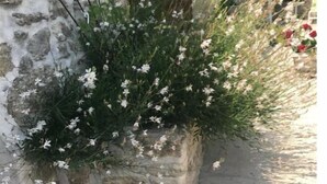 تفاصيل الفندق من الخارج