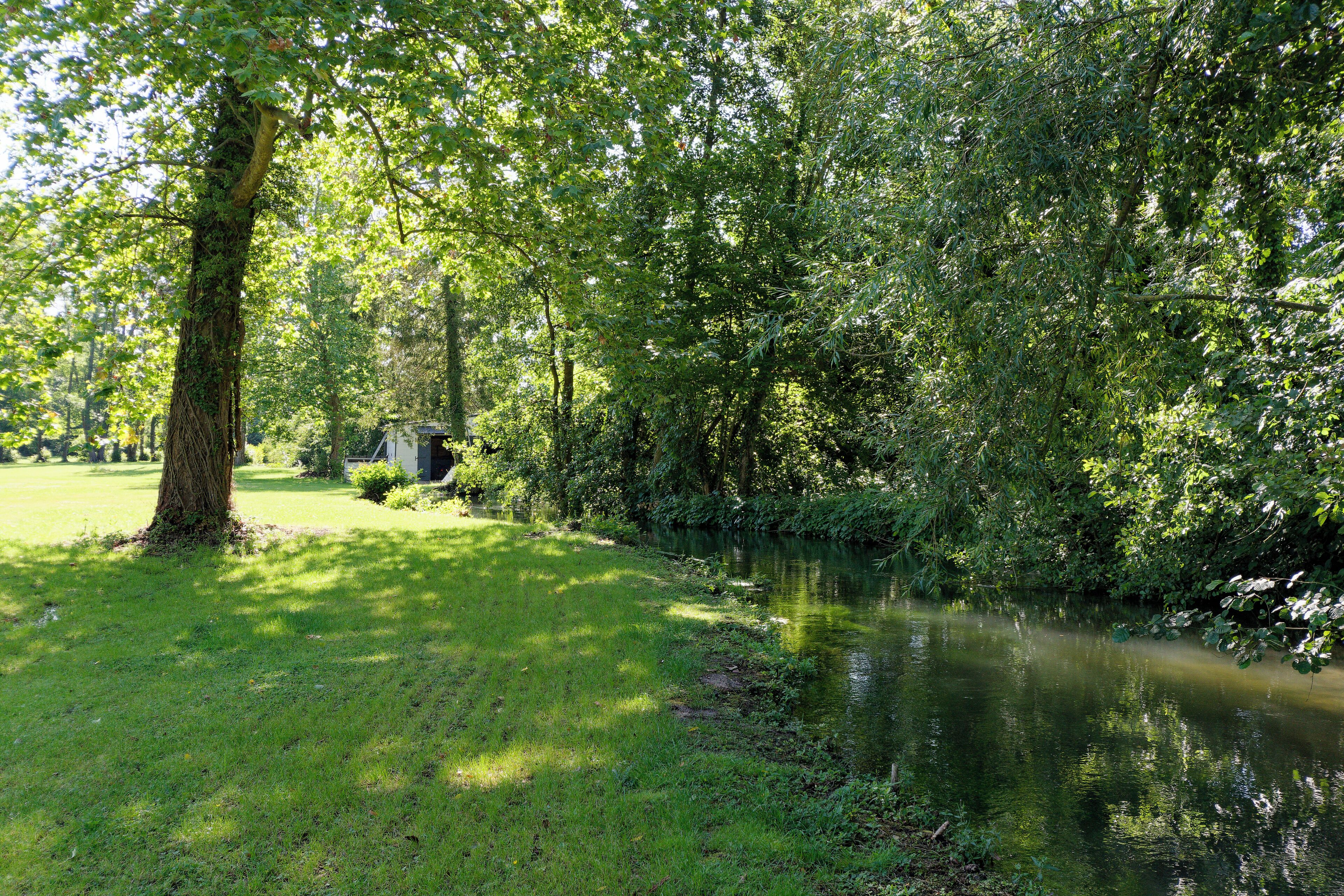 A serene riverside setting with lush greenery and a calm waterway.