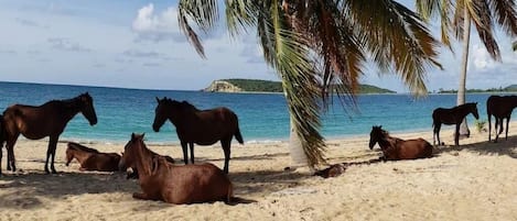 Solstolar och strandhanddukar