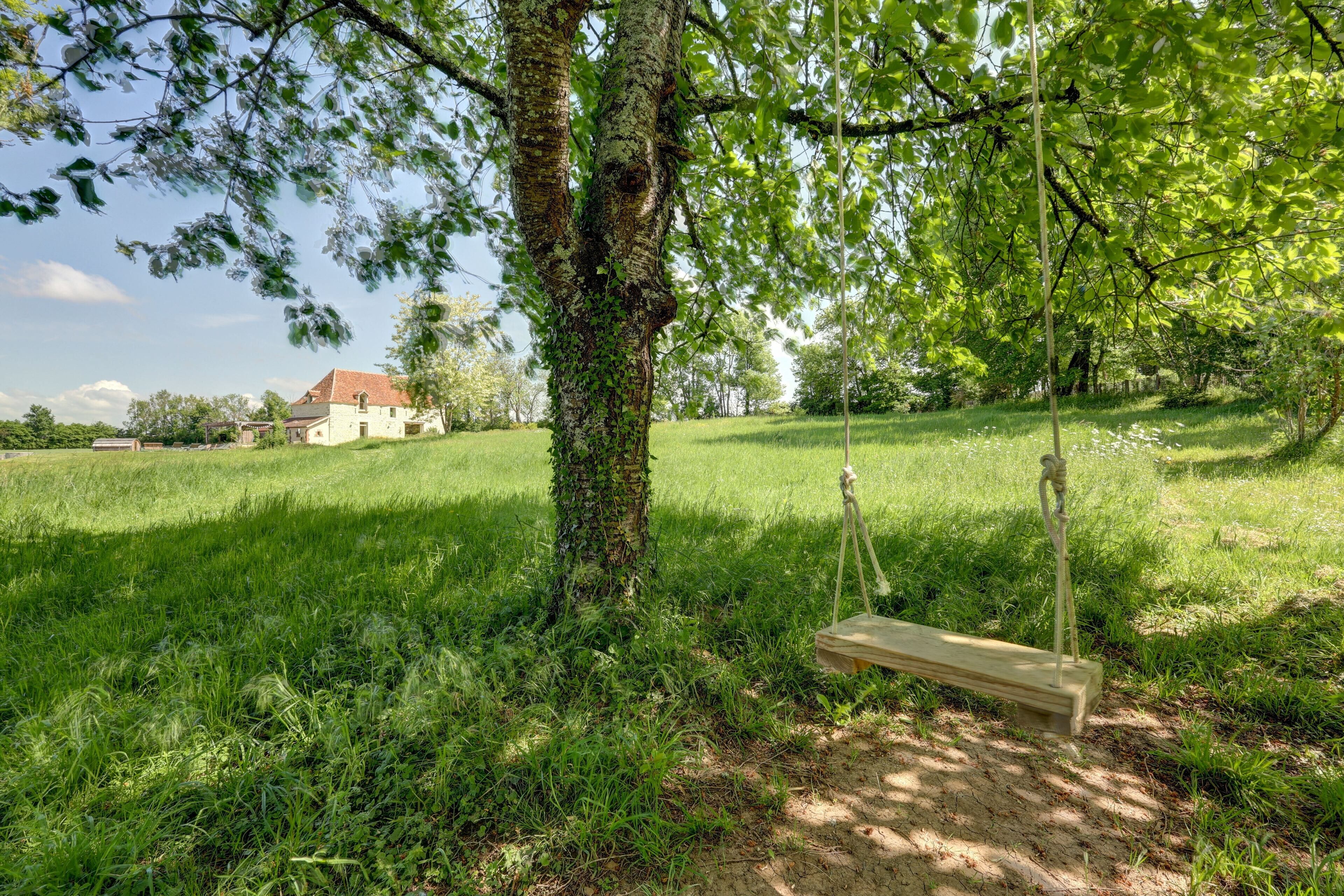 A wooden swing hanging from a tree in a grassy field with a house in the background.