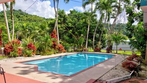 Une piscine rectangulaire bordée de rouge, entourée d’une terrasse en béton et d’un petit jardin agrémenté de fleurs rouges et de palmiers.