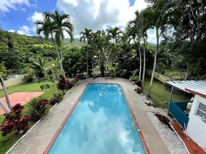 Relax by the serene pool surrounded by lush tropical plants and trees in a, tranquil setting.