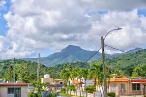 Quartiere residenziale con case, un lampione e una montagna sullo sfondo.