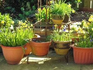 Área da propriedade