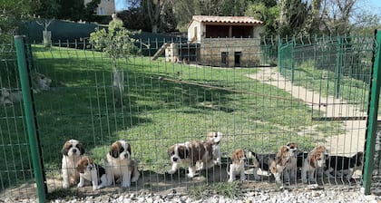 GĂźte Ă la campagne avec piscine