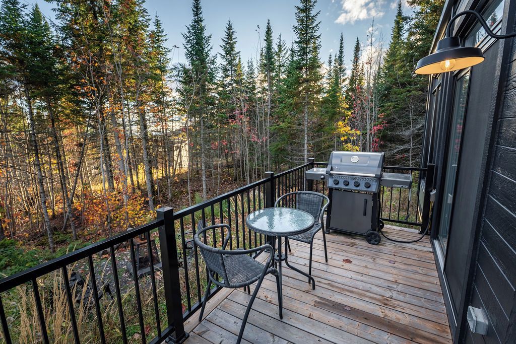 Une terrasse avec un barbecue et des chaises, entourée d’une forêt.
