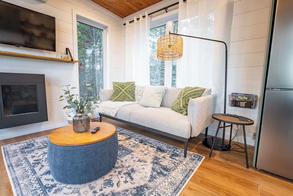 Smart TV, fireplace, books, stereo