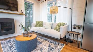 Smart TV, fireplace, books, stereo