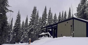 Exteriör