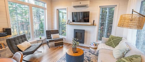Smart TV, fireplace, books, stereo