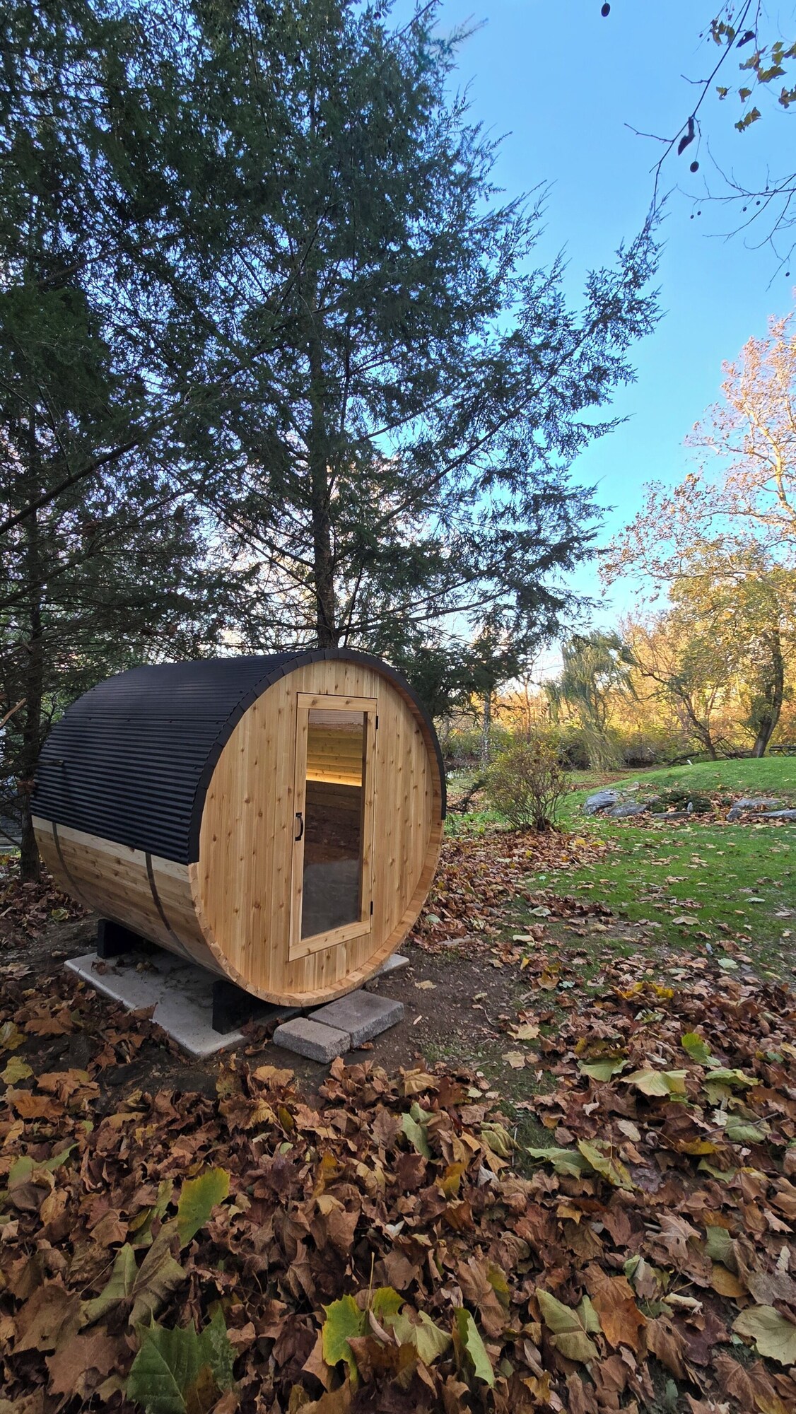 Imagen de perfil del propietario o de la propietaria