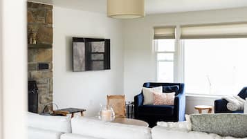 Smart TV, fireplace, books