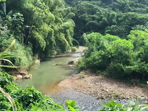 Ein Fluss fließt durch ein dicht bewachsenes Gebiet mit steinernen Ufern.