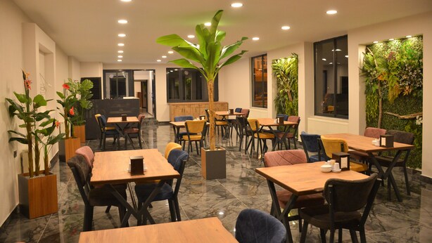 A restaurant with wooden tables and chairs, potted plants, and a large tree in the center. - Vizyon Life Pansiyon (Elazig)