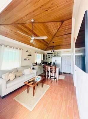 TV connectée, livres