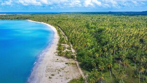 Luchtbeeld van een strand met weelderige palmbomen en een heldere blauwe oceaan.