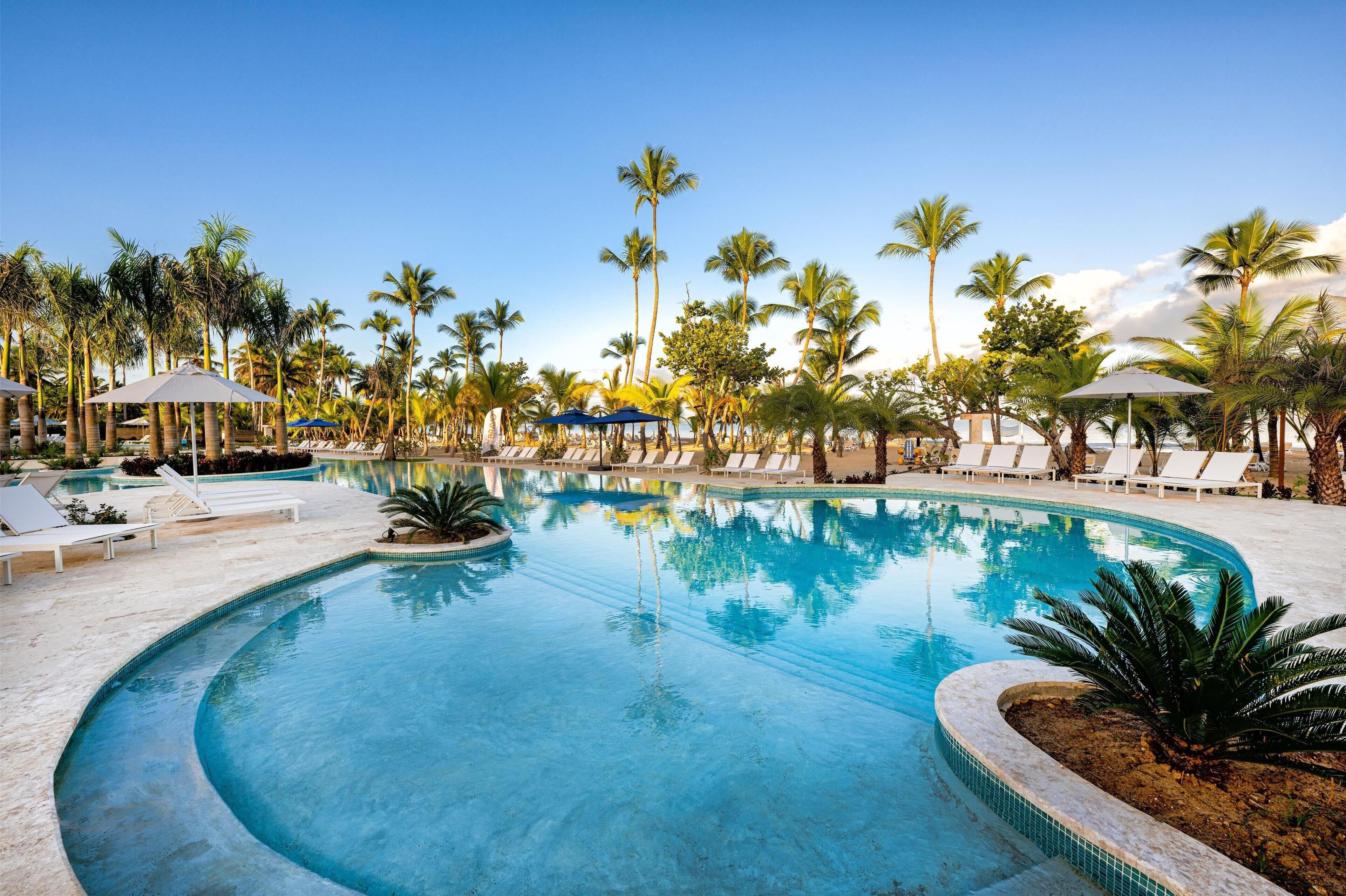 A swimming pool with lounge chairs and umbrellas, surrounded by palm trees.