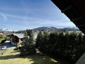 Property grounds - Charming apartment – Balcony (Megève)