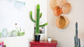 A cactus plant in a black pot on a red dresser, surrounded by woven baskets on the wall. - Farmhouse Escape w/Mountain Views (Tolleson)