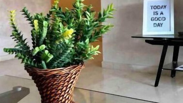 Une plante en pot, placée dans un panier tressé sur un tapis texturé, avec une pancarte encadrée en arrière-plan portant l’inscription : « AUJOURD’HUI, C’EST UNE BELLE JOURNÉE ».