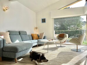 Fernseher, DVD-Player, Bücher, Computerbildschirme