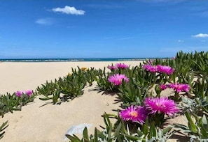 A beach with pink flowers and green foliage in the foreground, and a clear blue sky in the background. - Appartamenti Abate  Conchiglia Home  (Alcamo)