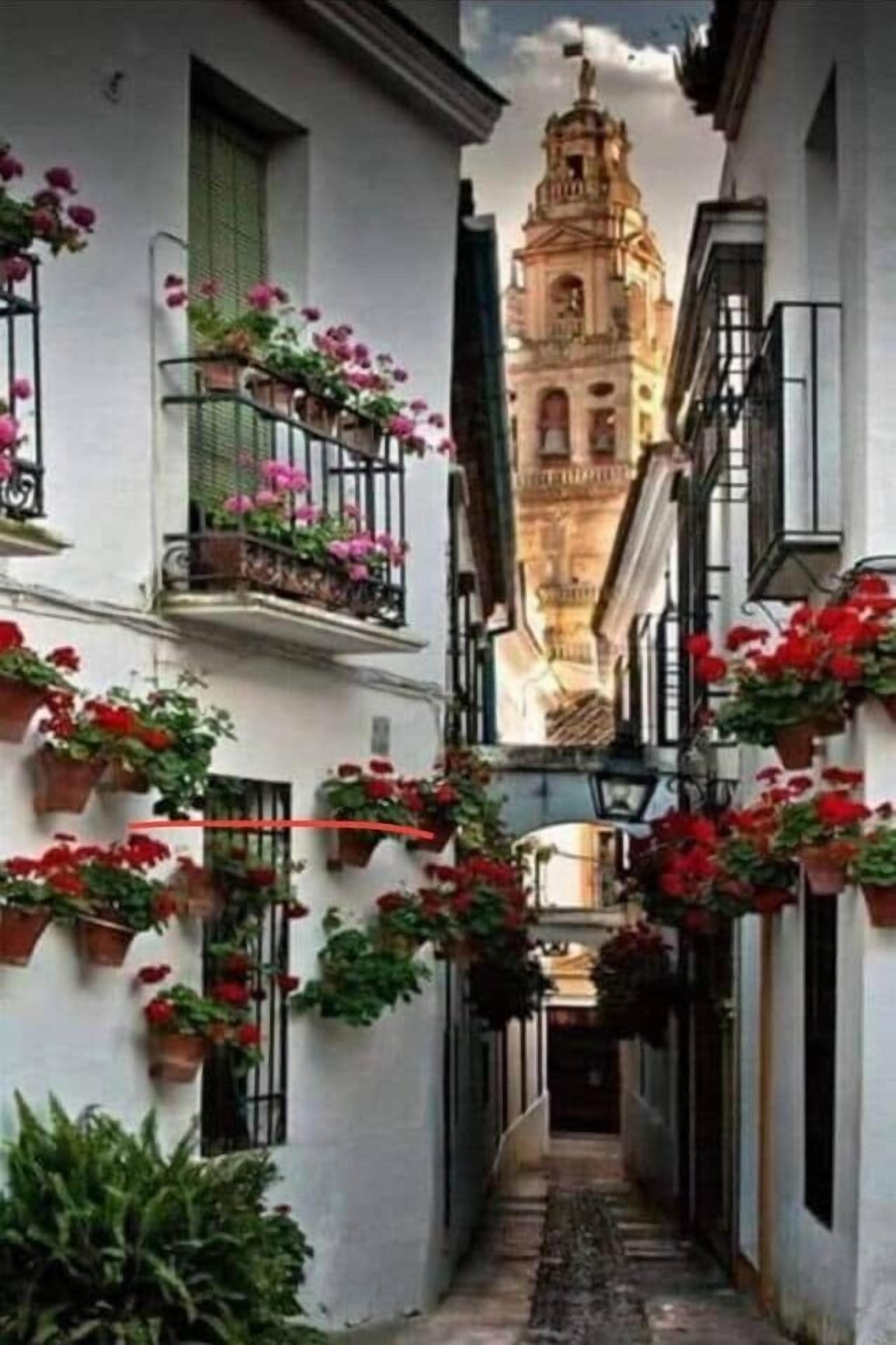 Un callejón estrecho con edificios blancos, flores rojas y una torre de campanas al fondo.