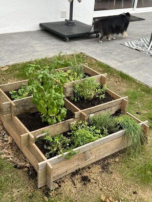 Property grounds - Maison Basque Traditionnelle Bien Rénovée Entre mer et Montagne, Chiens Acceptés (Bassussarry)