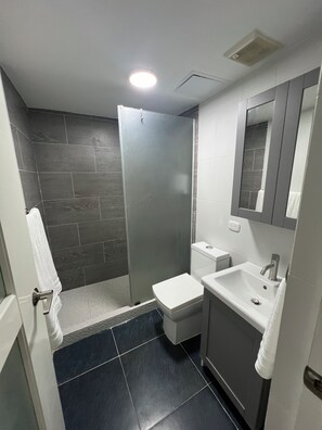 Regadera, secadora de cabello, toallas, jabón 