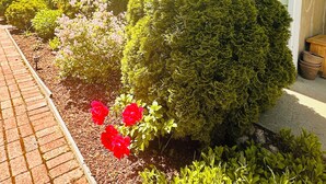 A residential building with a brick pathway leading to the entrance, surrounded by well-maintained hedges and flowering plants.
