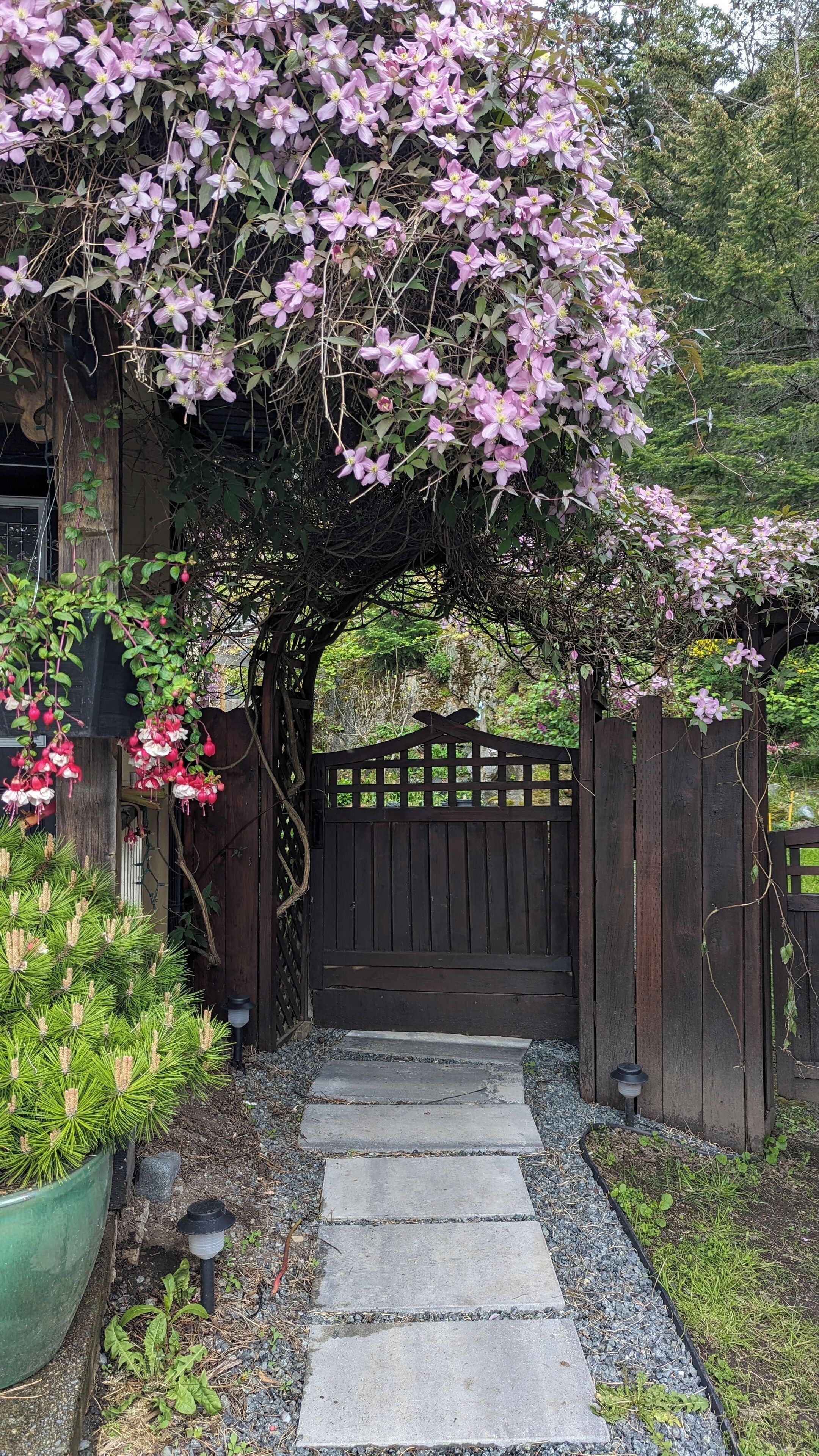 Enceinte de l’hébergement
