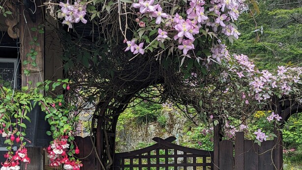 A wooden gate leading to a garden with a stone pathway. - Private Garden Suite in Langford - Free car charger (Langford)