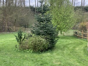 Apartment | Property grounds - Charming 1-bed Apartment in Alfreton (Ripley)