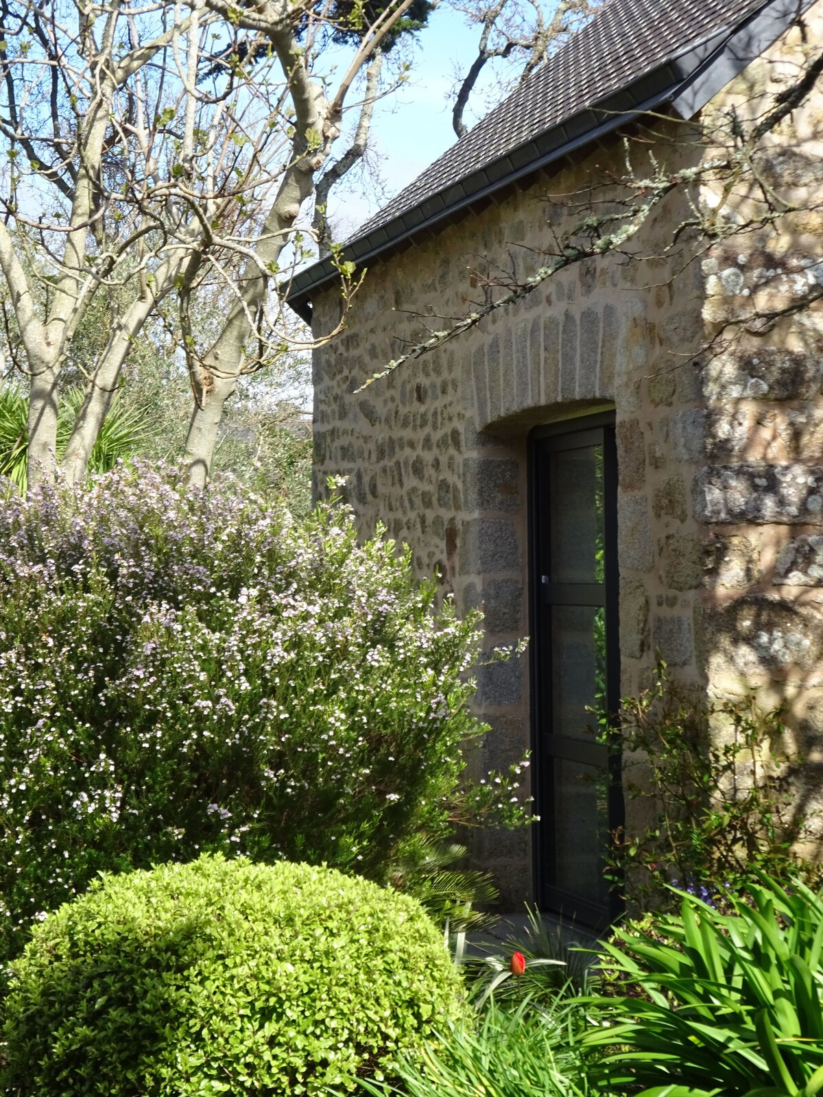 Imagen de perfil del propietario o de la propietaria