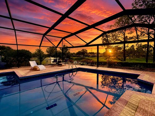 The Palms. Luxurious, pool, view
