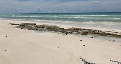 Seaside Serenity: Stunning 3 Bedroom Home with 100 ft of Beachfront