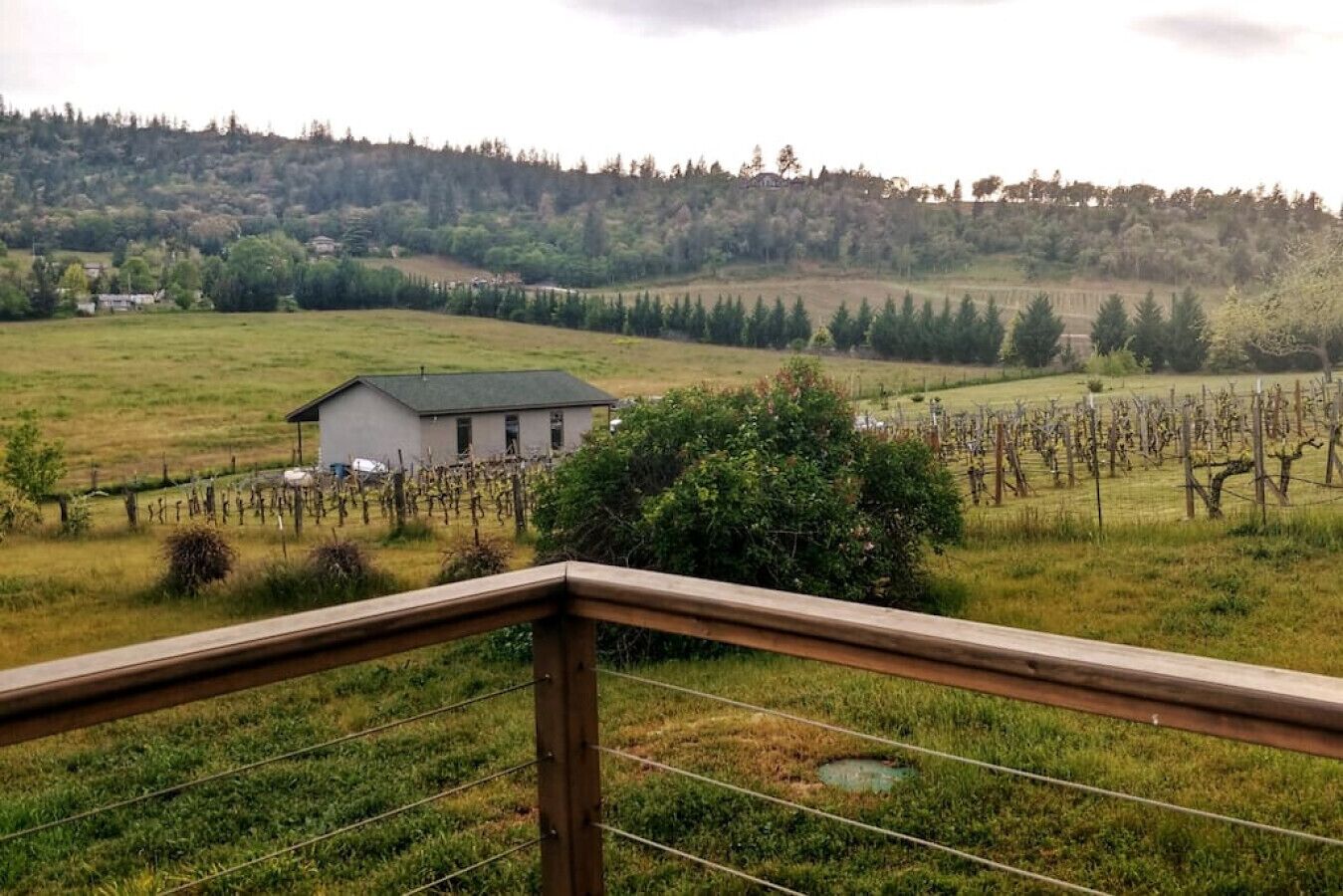 Beautiful Vineyard Villa surrounded by mountains