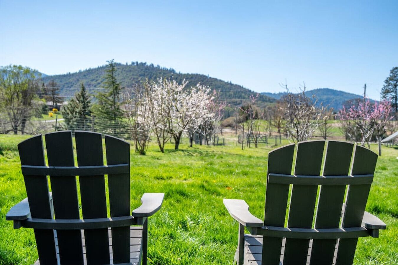 Comfortable, Private Guest Lodging