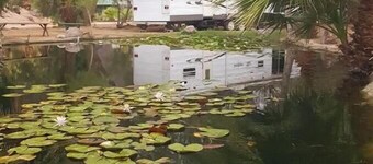 Koi Pond Trailer