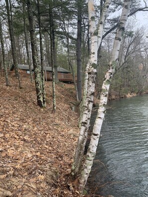 Property grounds - Cozy Lakefront Cabin Getaway - Enjoy Eagle Viewing, Fishing and Kayaking (Lake Tomahawk)