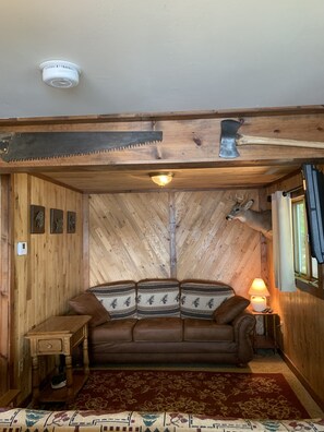 Smart TV, DVD player, video library - Cozy Lakefront Cabin Getaway - Enjoy Eagle Viewing, Fishing and Kayaking (Lake Tomahawk)