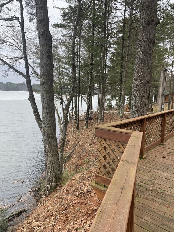 Property grounds - Cozy Lakefront Cabin Getaway - Enjoy Eagle Viewing, Fishing and Kayaking (Lake Tomahawk)